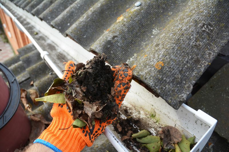 Cleared Gutter