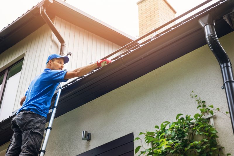 Gutter Maintenance Service