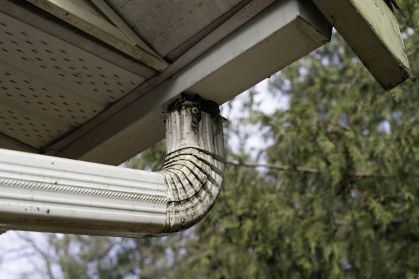 Cost of Roof Drain Replacement in Carrollton